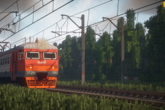 WILD_4