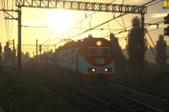 gavnoed_2